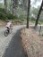 Es Capdella to Galilea Tranquil Pine Forest Climb