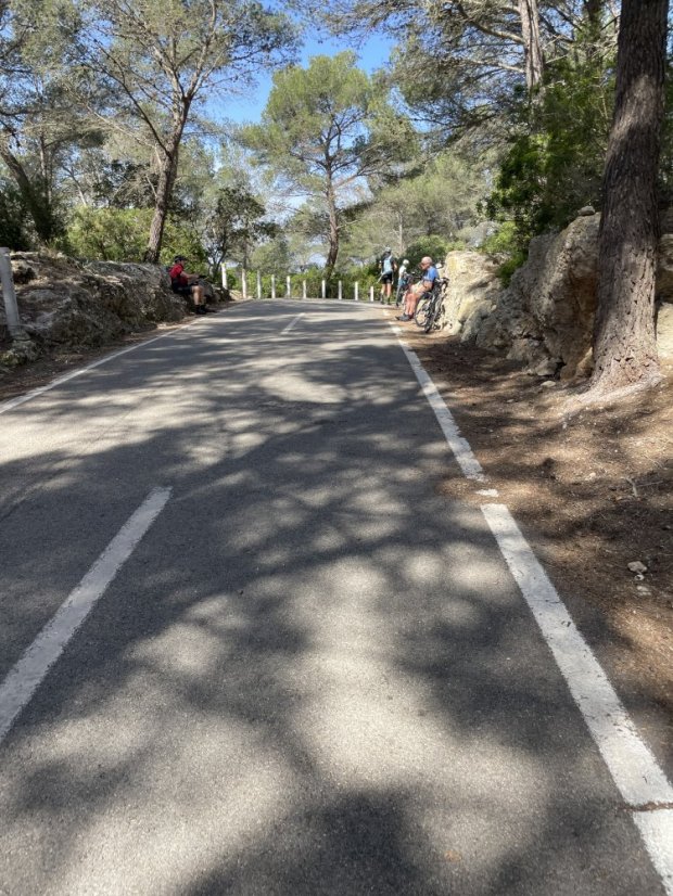 Palma - Coll de sa Creu - Coll des Vent Forest Climb