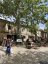 Barbaflorida Valldemossa: Organic Specialty Coffee