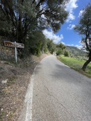 Coll es Grau Forested Climb (Puigpunyent to Esporles direction)