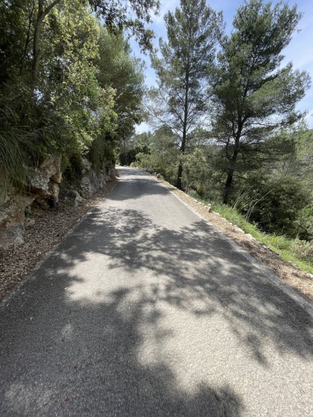 Tramuntana Queen Stage: Paguera, Galilea & Stunning Coast