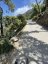 Port des Canonge - Ma-10: Hidden Gem Twisty Ride