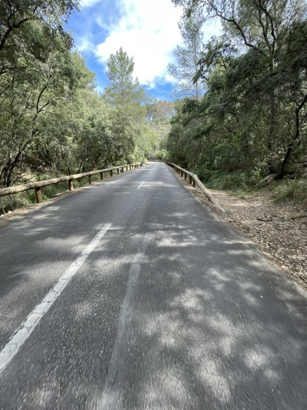 Calvià to Coll des Tords: Gentle Inland Mallorca Climb