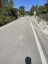 Palma - Coll de sa Creu - Coll des Vent Forest Climb