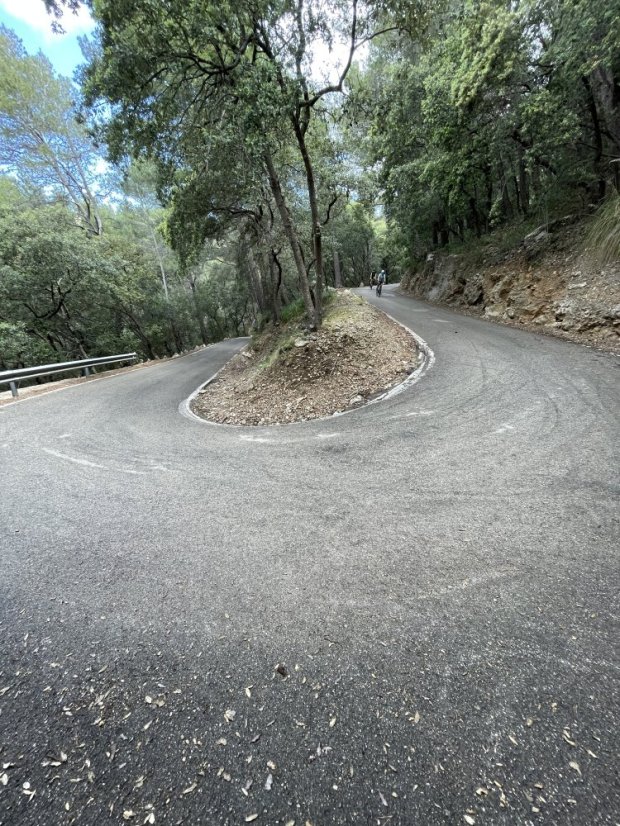 Coll es Grau Forested Climb (Puigpunyent to Esporles direction)