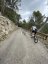 Tramuntana Queen Stage: Paguera, Galilea & Stunning Coast
