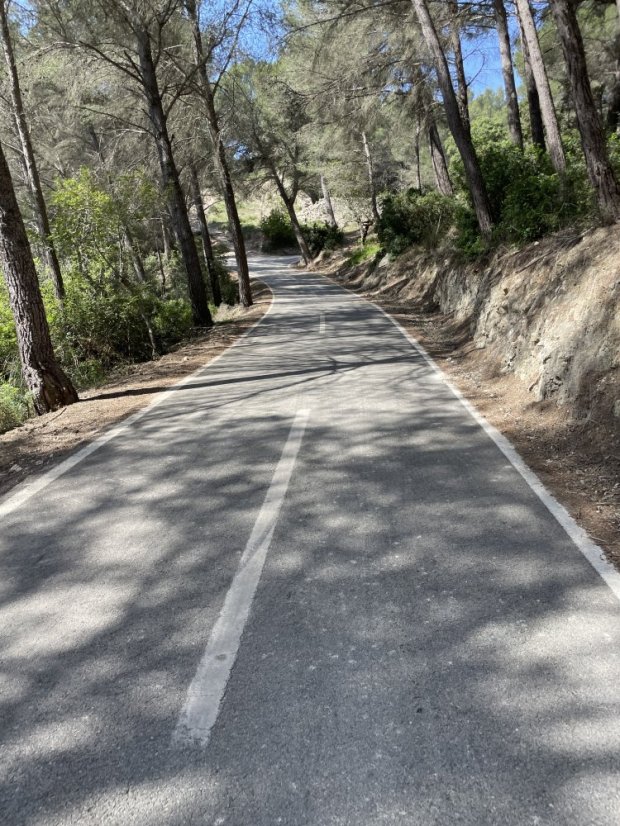 Palma - Coll de sa Creu - Coll des Vent Forest Climb