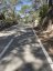 Palma - Coll de sa Creu - Coll des Vent Forest Climb