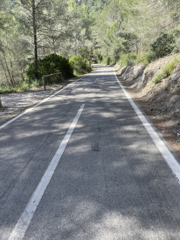 Palma - Coll de sa Creu - Coll des Vent Forest Climb