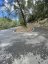 Coll es Grau Forested Climb (Puigpunyent to Esporles direction)