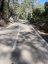 Palma - Coll de sa Creu - Coll des Vent Forest Climb