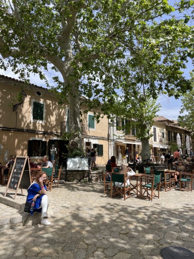 Barbaflorida Valldemossa: Organic Specialty Coffee