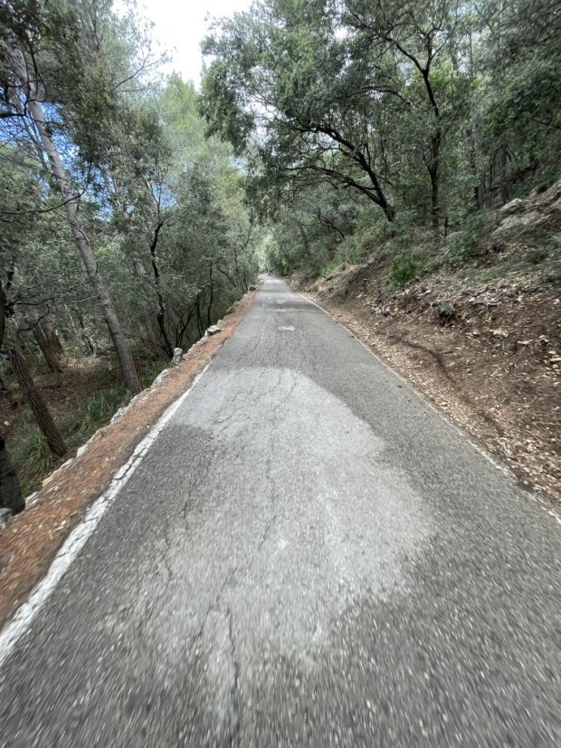 Coll es Grau Forested Climb (Puigpunyent to Esporles direction)