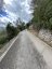Coll es Grau Forested Climb (Puigpunyent to Esporles direction)
