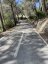 Palma - Coll de sa Creu - Coll des Vent Forest Climb