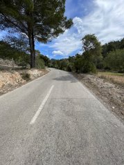 Calvià to Coll des Tords: Gentle Inland Mallorca Climb