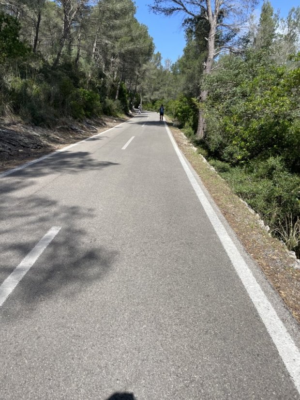 Palma - Coll de sa Creu - Coll des Vent Forest Climb