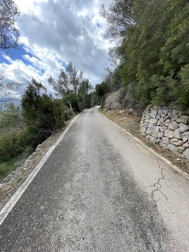 Coll es Grau Forested Climb (Puigpunyent to Esporles direction)