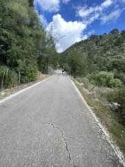 Coll es Grau Forested Climb (Puigpunyent to Esporles direction)