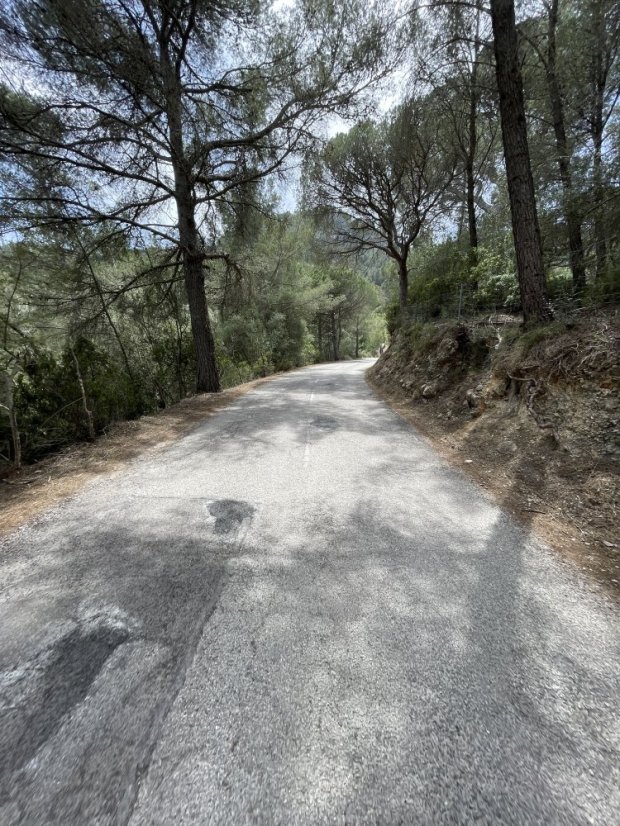 Puigpunyent - Galilea: Tranquil Woodland Climb