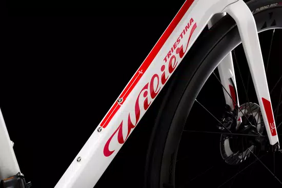 Road carbon bike Wilier Filante Ultegra Di2 | Size XXL | No. 19