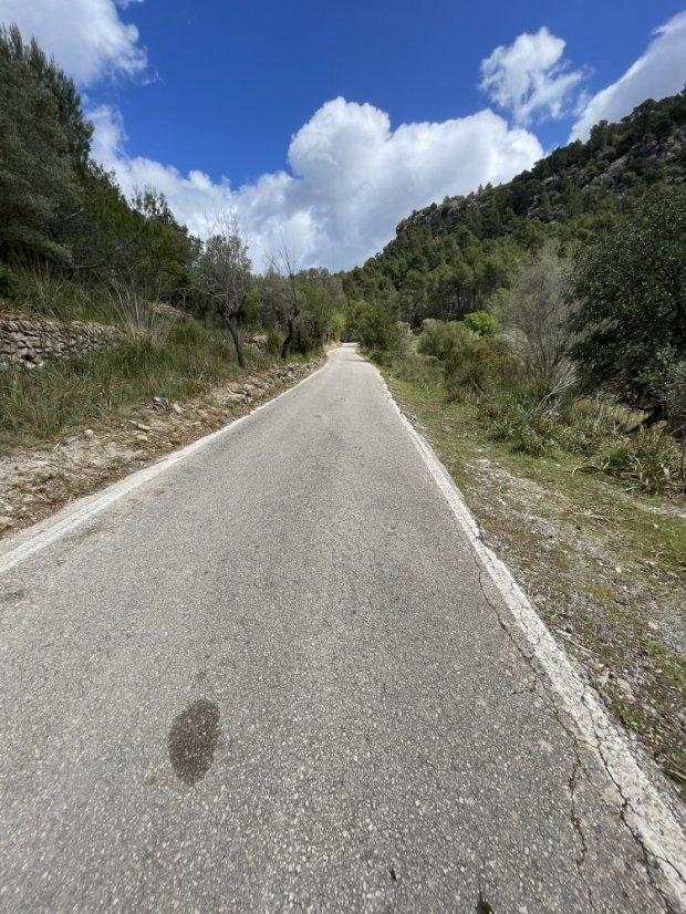 Coll es Grau Forested Climb (Puigpunyent to Esporles direction)
