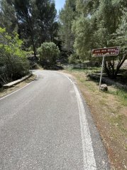 Camí des Correu - Coll des Grau: Quiet Forest Climb