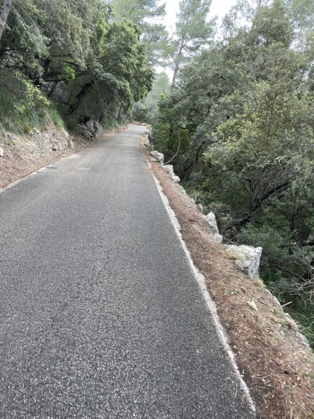 Coll es Grau Forested Climb (Puigpunyent to Esporles direction)
