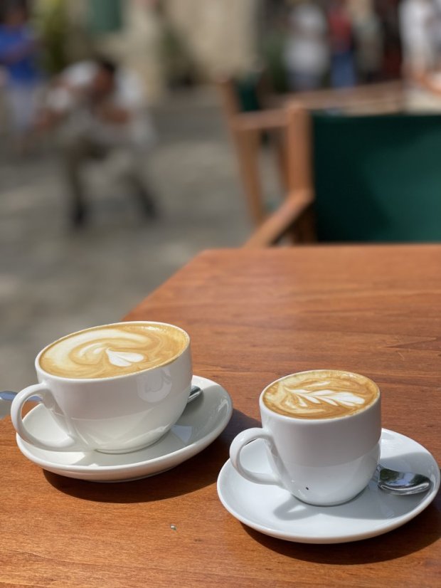 Barbaflorida Valldemossa: Organic Specialty Coffee