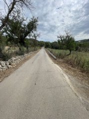 Paguera's Easy Explorer: Es Capdellà & Costa Calma