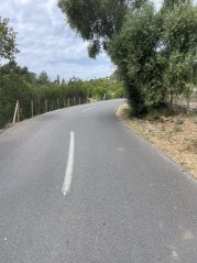 Es Capdella - Coll de n'Esteve: Short Punchy Ride