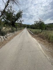 Paguera's Easy Explorer: Es Capdellà & Costa Calma