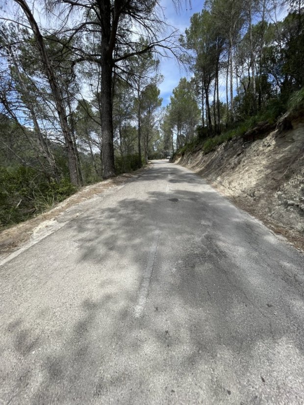 Paguera's Mountain Ascent: Galilea, Puigpunyent & Calvià