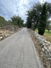 Alaró to Coll de Tofla: Gentle Mallorca Bike Climb