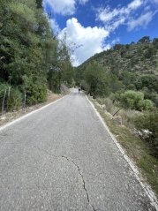 Coll es Grau Forested Climb (Puigpunyent to Esporles direction)