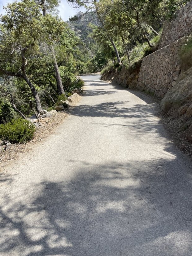 Port des Canonge - Ma-10: Hidden Gem Twisty Ride