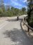 Calvià to Coll des Tords: Gentle Inland Mallorca Climb