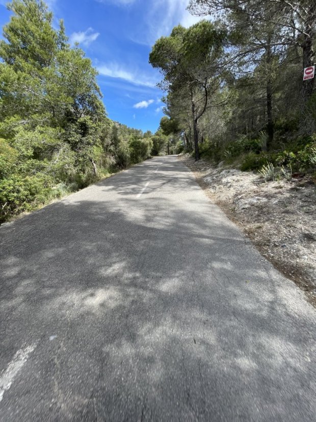 Paguera's Inland Climbs: Galilea & Coll de sa Creu Loop