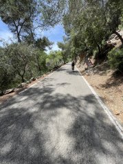 Camí des Correu - Coll des Grau: Quiet Forest Climb