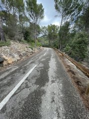 Es Capdella to Galilea Tranquil Pine Forest Climb