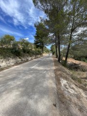 Calvià to Coll des Tords: Gentle Inland Mallorca Climb